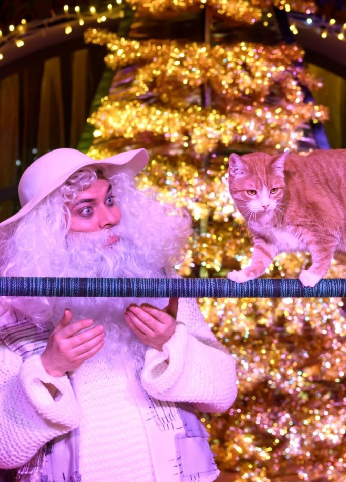 Юрий Куклачёв. Новогодние приключения котов-чемпионов