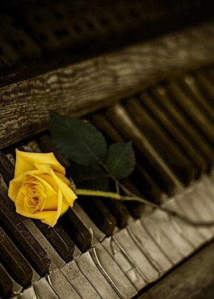 Концерт «Золотая коллекция романсов»