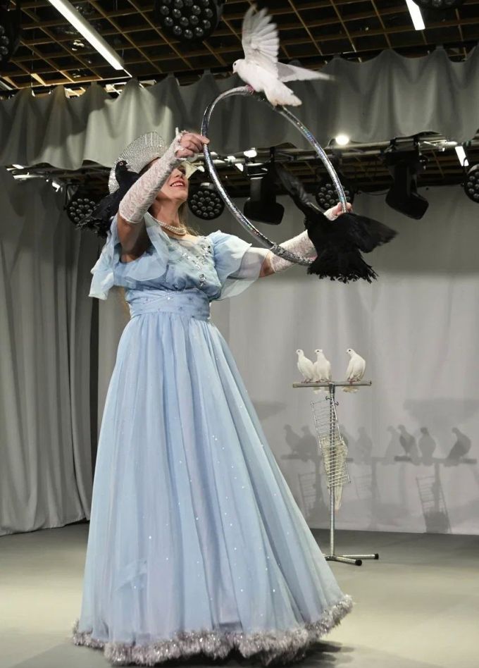 Шоу «Новогодний цирк»