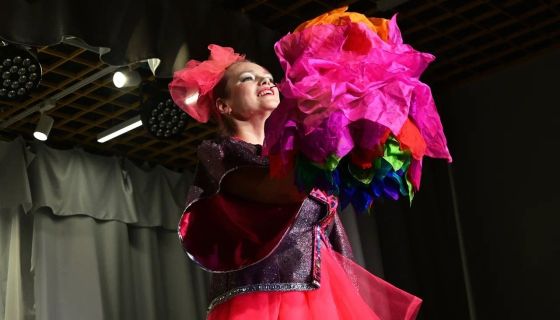 Шоу «Новогодний цирк»