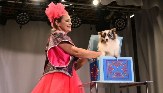 Шоу «Новогодний цирк»