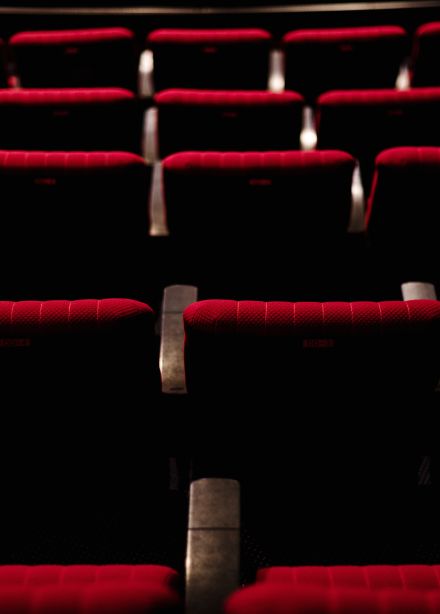 Мох. История одного пса