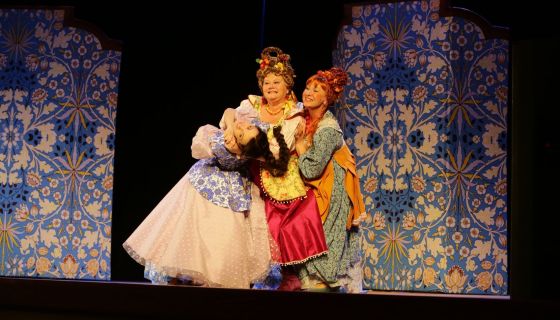 Спектакль «Не в свои сани не садись», Зеленоград