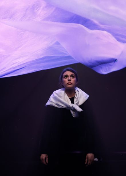 Стеклянный зверинец