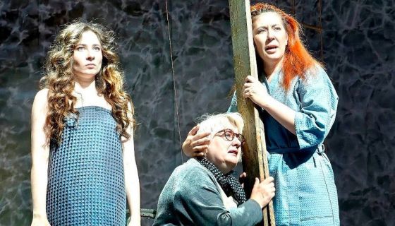 Спектакль «Земля Эльзы»