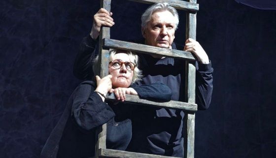 Спектакль «Земля Эльзы»