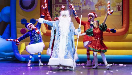 Шоу «Мульти ёлка»