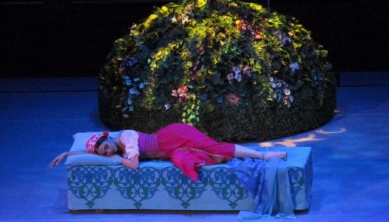 Балет «Аленький цветочек»