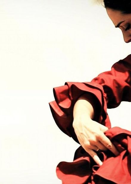 Танцевальное шоу. Фламенко Андалусии