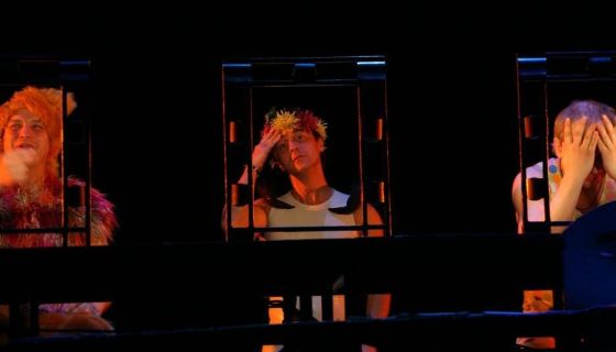 Спектакль «Ladies’ Night. Только для женщин. Версия 2002»