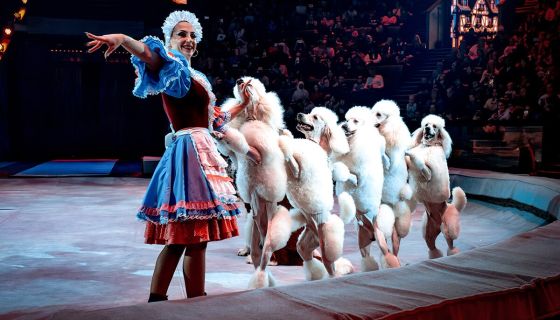 Цирк «Сказка о Белоснежке и семи гномах»