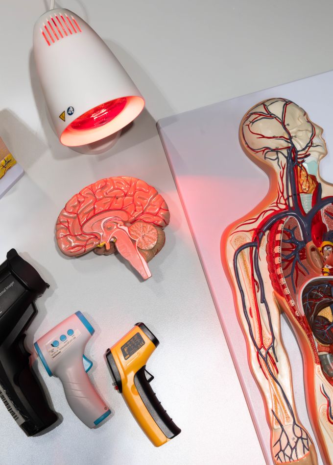 Секреты теплокровных