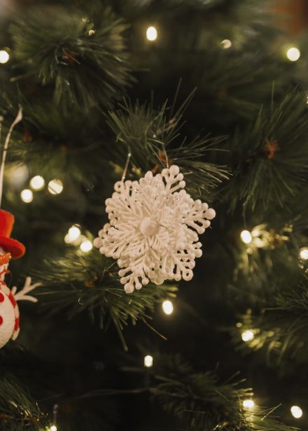 В поисках Щелкунчика