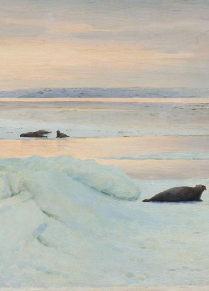 Арктика. Полюс цвета