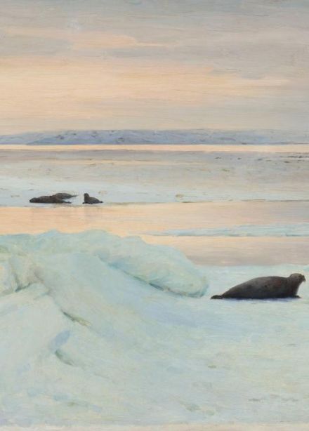 Арктика. Полюс цвета