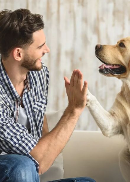 Благотворительный стендап-концерт