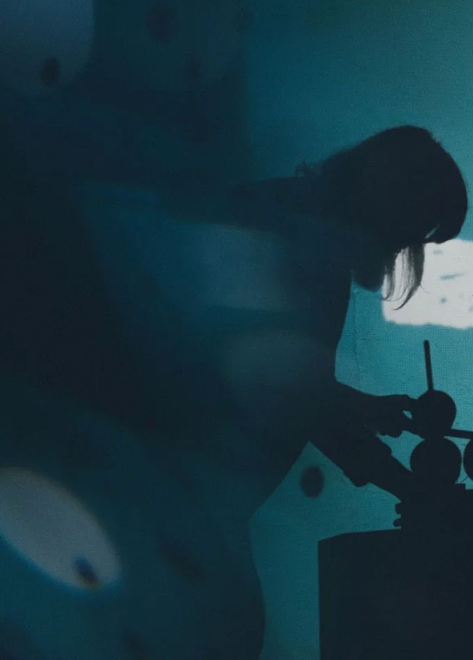 Таинственная ёлка: самостоятельное путешествие