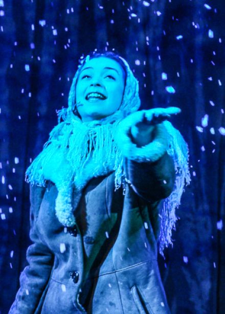 Дед Мороз и 12 месяцев