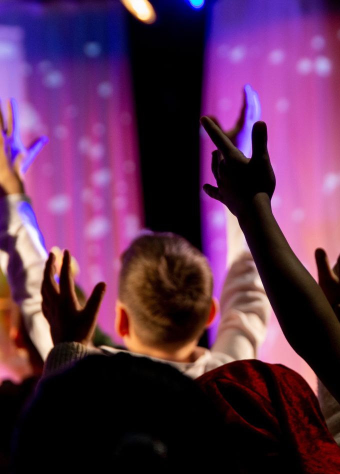 Как волки украли ёлки