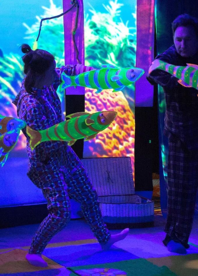 Маленький енот