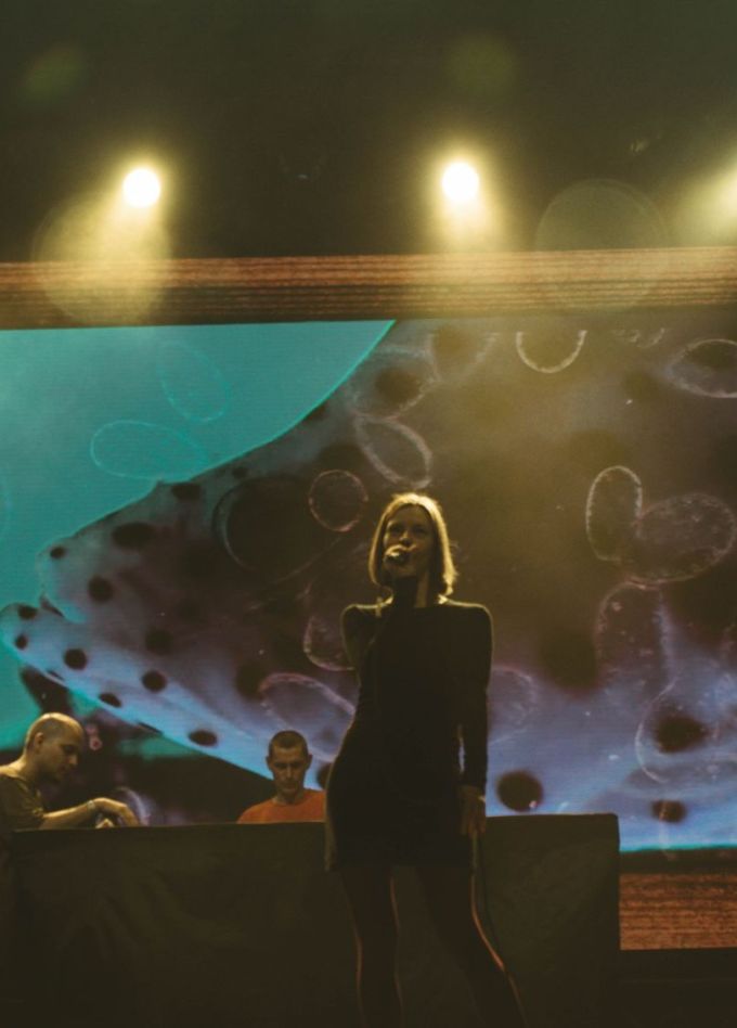 Порез на собаке