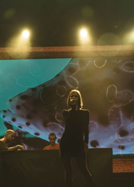 Порез на собаке