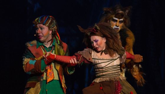 Мюзикл «Удивительные приключения Маши и Вити»