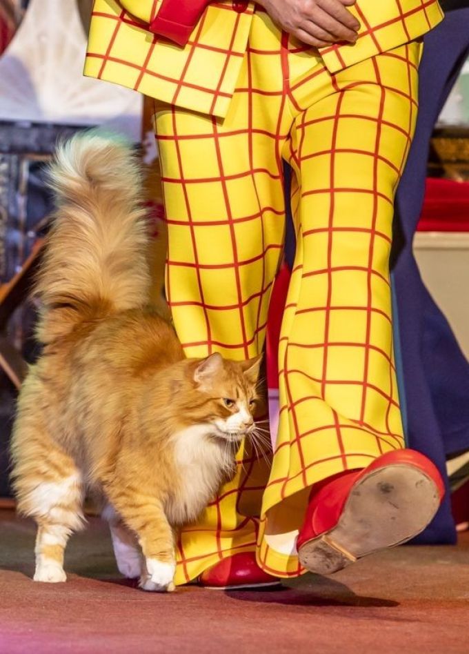 Театр кошек Куклачёва. Лебединое озеро