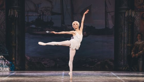 Балет «Дон Кихот»