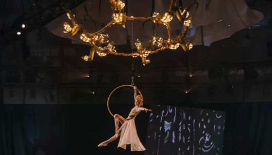 Цирковое шоу «Сны Пушкина»