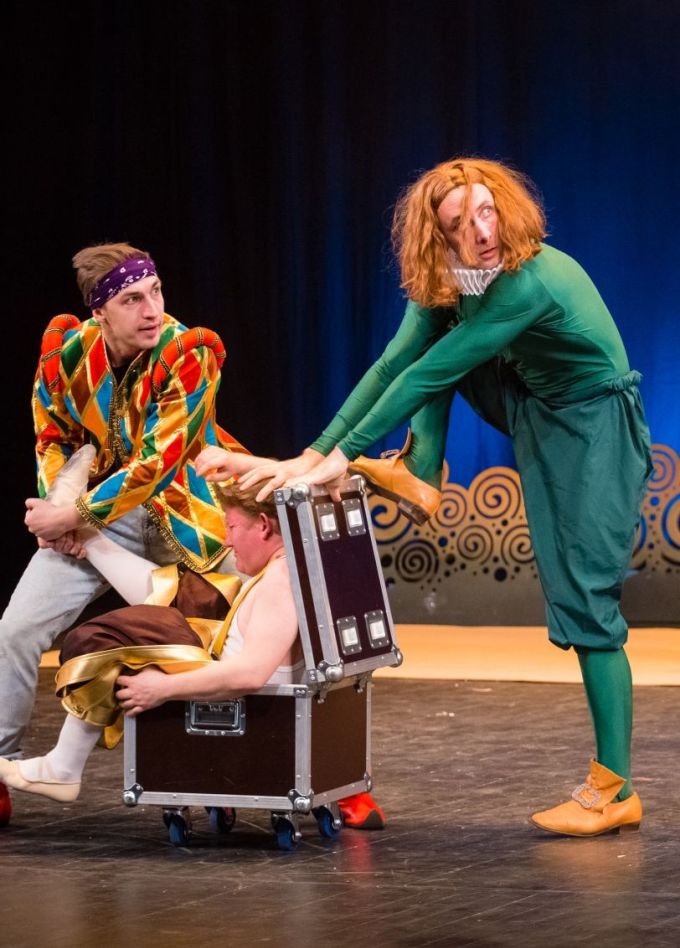 Спектакль «Двенадцатая ночь, или Что угодно», Зеленоград