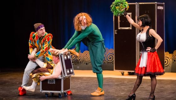 Спектакль «Двенадцатая ночь, или Что угодно», Зеленоград