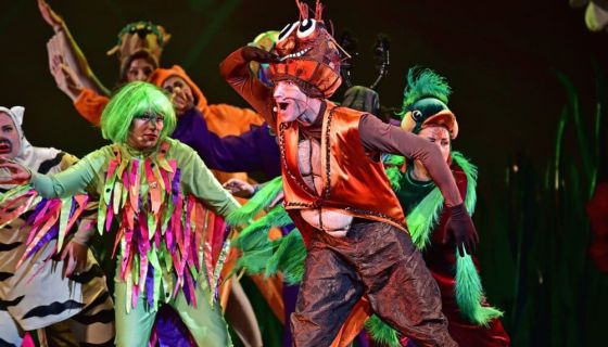 Мюзикл «Муха-Цокотуха и её друзья»