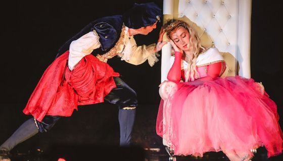 Спектакль «Спящая красавица»