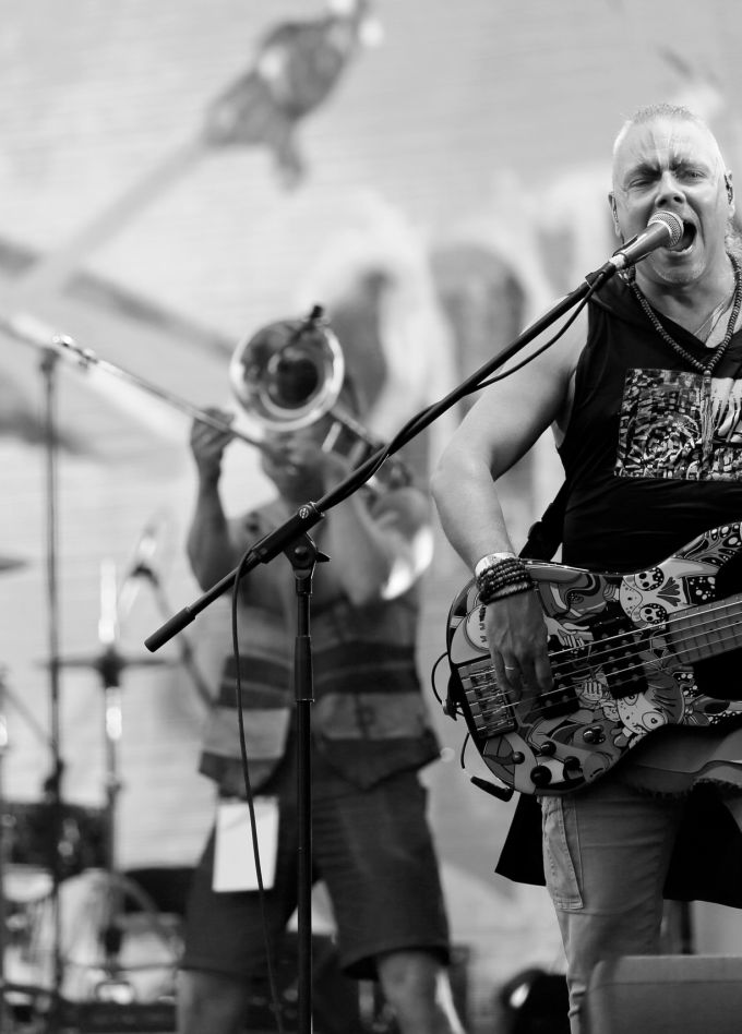 Скворцы Степанова