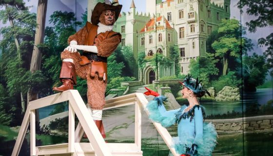 Мюзикл «Кот в сапогах»