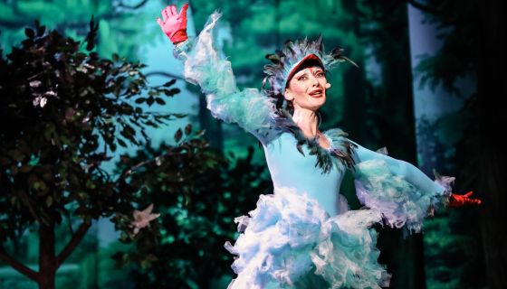 Мюзикл «Кот в сапогах»