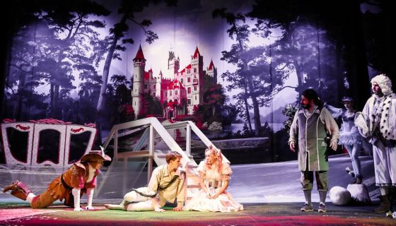 Мюзикл «Кот в сапогах»