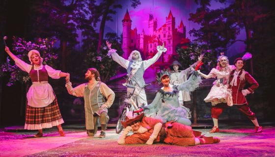 Мюзикл «Кот в сапогах»