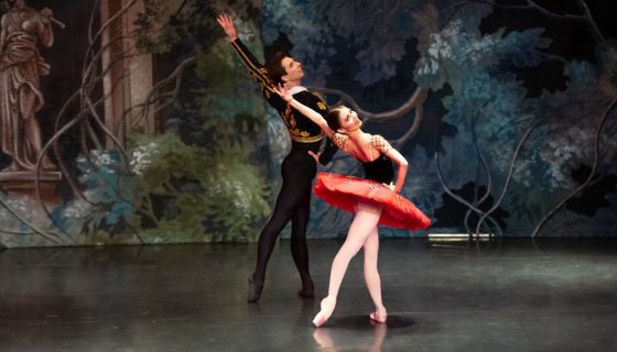 Балет «Дон Кихот»