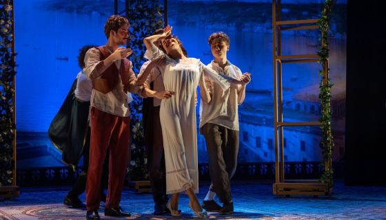 Спектакль «Собака на сене»