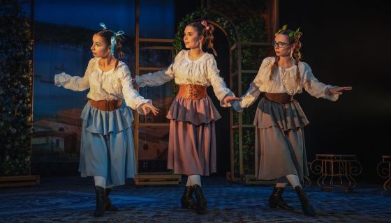 Спектакль «Собака на сене»