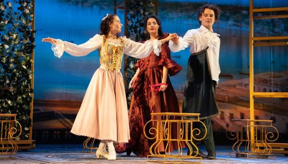 Спектакль «Собака на сене»