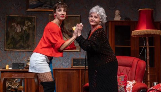 Спектакль «Джентльмен на вечер»