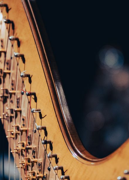 Властелин колец, Игра престолов и кельтские легенды при свечах