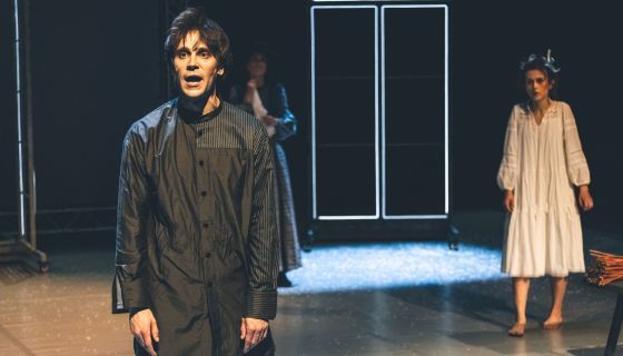 Спектакль «Дневник писателя»