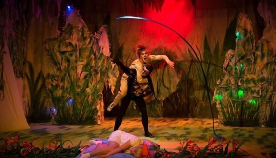 Спектакль «Рикки-Тикки-Тави», Зеленоград