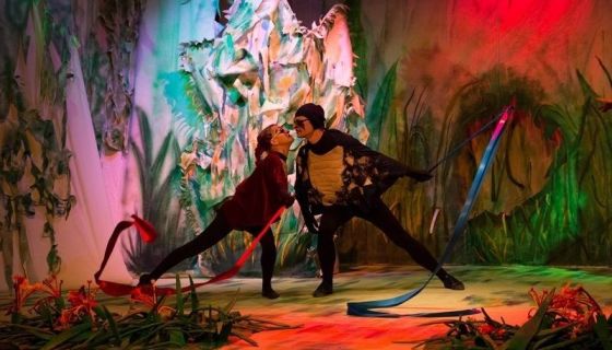 Спектакль «Рикки-Тикки-Тави», Зеленоград