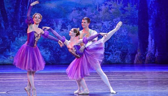 Балет «Лебединое озеро»