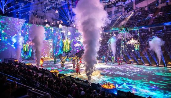 Татьяна Навка. Спящая красавица. Легенда двух королевств